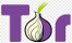 Tor Logo