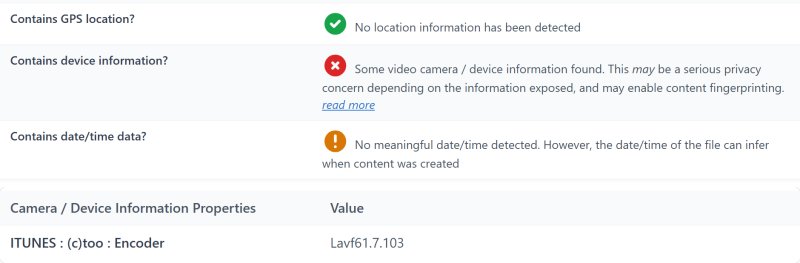 The report on the converted MP4: no location, no date, and the only device line left names the converting software