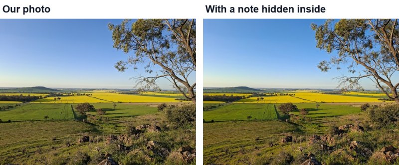 Our photo of a gum tree over canola fields, and the same photo with a note hidden inside: they look the same