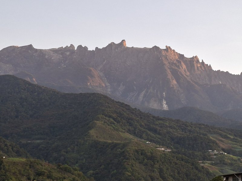 Mount Kinabalu's jagged ridge under a pale dawn sky