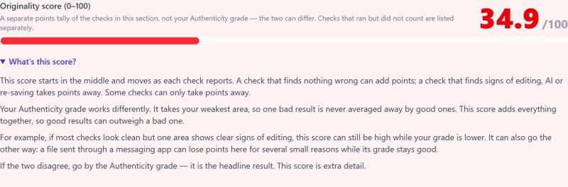 The originality score panel reading 34.9 out of 100, with its explanation opened