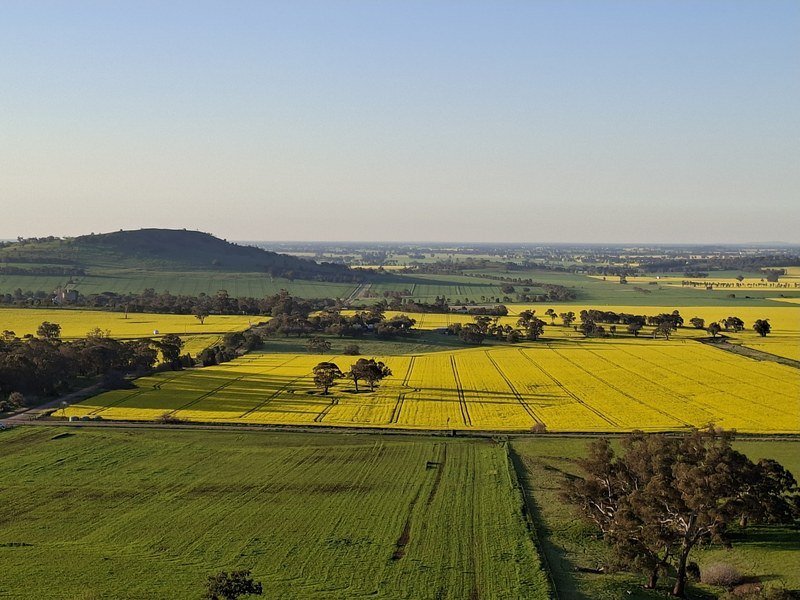 Our photo: canola fields and green paddocks below a low hill, under a clear sky
