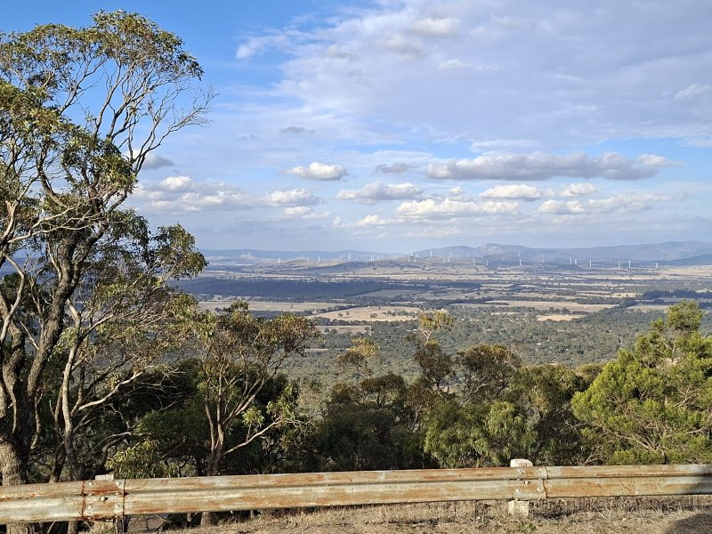 The view from One Tree Hill lookout: gum trees, farmland and wind turbines on the far ridge
