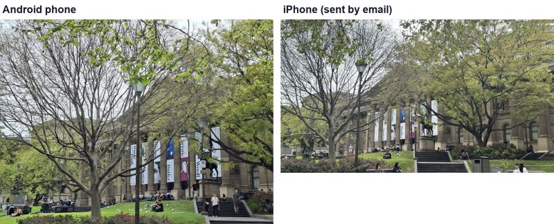 The same library building photographed on an Android phone and an iPhone