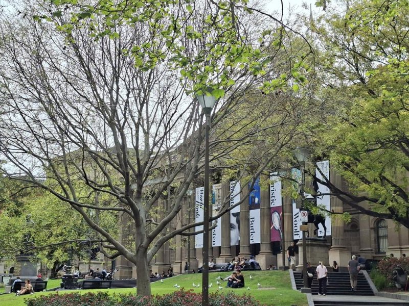 A library forecourt with trees and people on the lawn, taken on a Samsung Galaxy A56