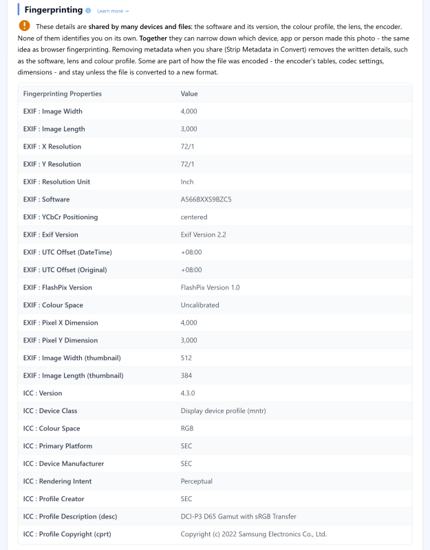 The Fingerprinting section for a Galaxy A56 photo taken from a plane: image size, firmware build, time-zone offset and colour profile details