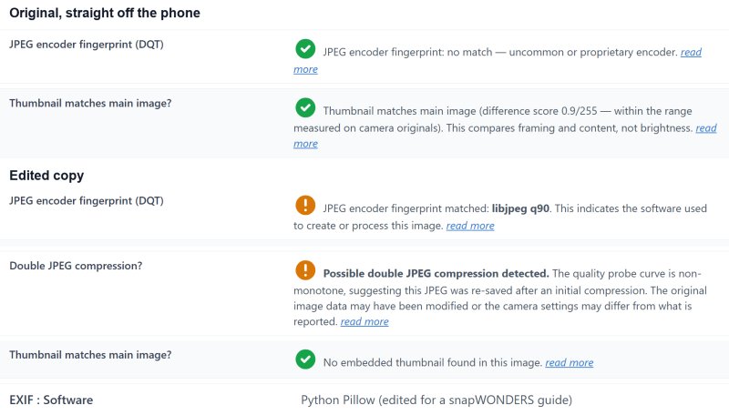 Report findings: the original has no software encoder and a matching thumbnail; the edited copy matches a software encoder, shows double compression, has no thumbnail and names the editing software