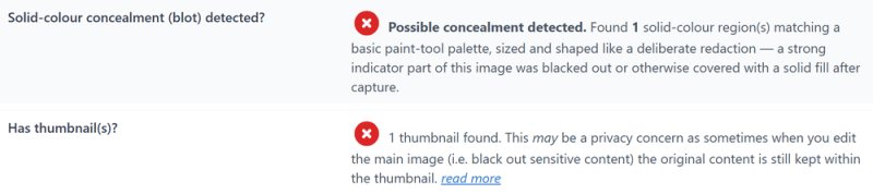 Report rows: possible concealment detected, and one thumbnail found that may keep the original content