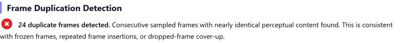 Report finding: 24 duplicate frames detected